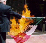 burn_mexican_flag.gif