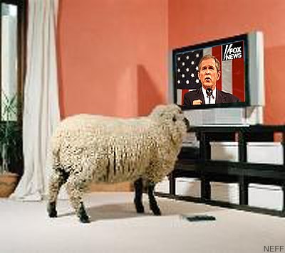 sheepFox.jpg