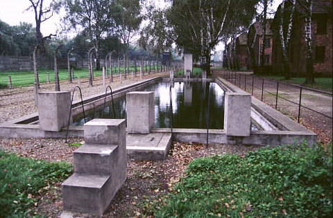 auschwitzpool.jpg