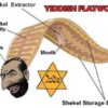 The jewish parasites keep sucking up US taxpayers’ money: Largest NEH grant in history is given to jewish supremacist group run by warmongering neocon criminal