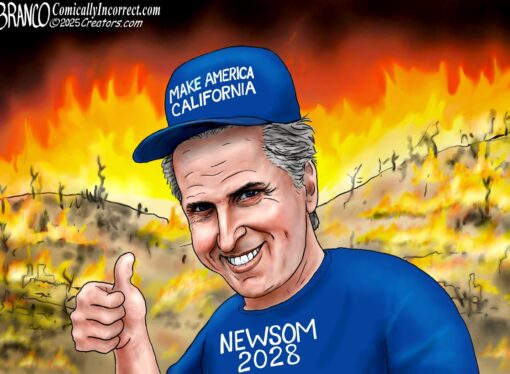Democrap governor of California Gavin Newscum gets called out for being a jew-puppet and for ruining his home state