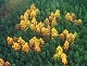 Eagle Eye