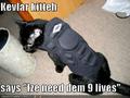 Kevlar Vest