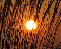 October Sun Films