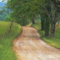 SmokyMtn